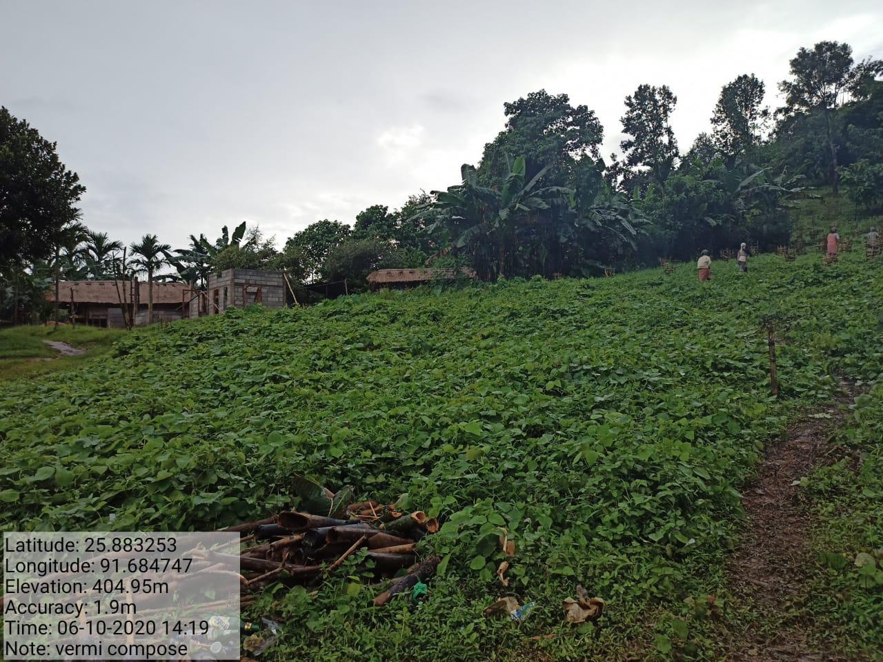 C:\Users\acer\Desktop\umsong(PIC)\vermi compost (5).jpeg